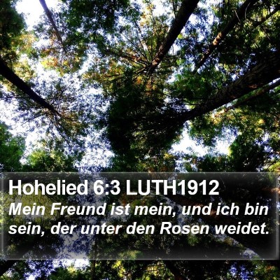 Hohelied 6:3 LUTH1912 Bible Verse Image