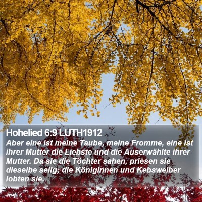 Hohelied 6:9 LUTH1912 Bible Verse Image