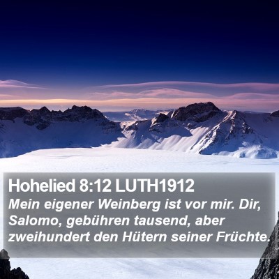 Hohelied 8:12 LUTH1912 Bible Verse Image