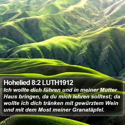 Hohelied 8:2 LUTH1912 Bible Verse Image