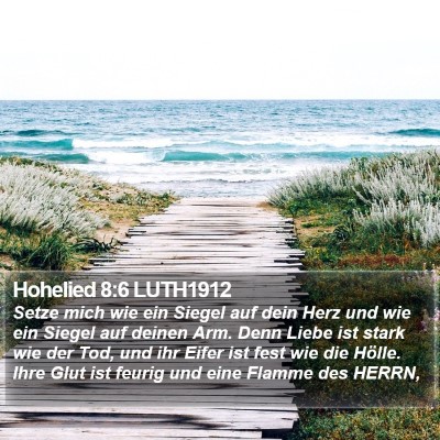 Hohelied 8:6 LUTH1912 Bible Verse Image