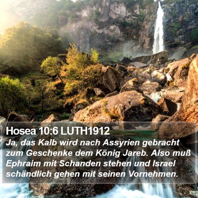 Hosea 10:6 LUTH1912 Bible Verse Image