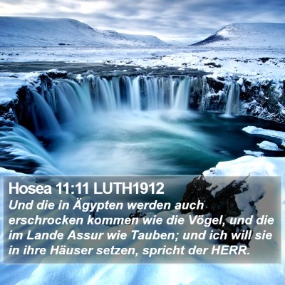 Hosea 11:11 LUTH1912 Bible Verse Image
