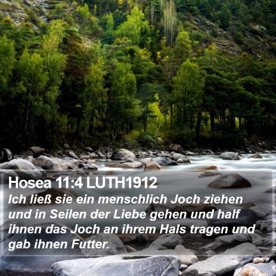Hosea 11:4 LUTH1912 Bible Verse Image