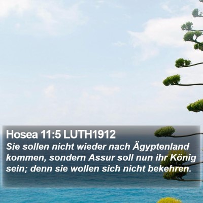 Hosea 11:5 LUTH1912 Bible Verse Image