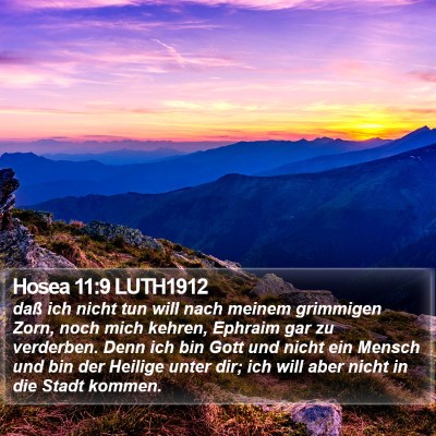 Hosea 11:9 LUTH1912 Bible Verse Image
