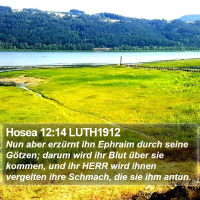 Hosea 12:14 LUTH1912 Bible Verse Image