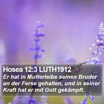 Hosea 12:3 LUTH1912 Bible Verse Image
