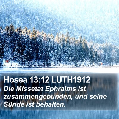 Hosea 13:12 LUTH1912 Bible Verse Image