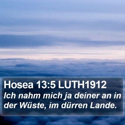 Hosea 13:5 LUTH1912 Bible Verse Image