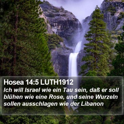 Hosea 14:5 LUTH1912 Bible Verse Image
