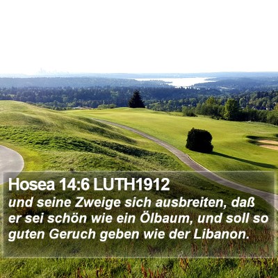 Hosea 14:6 LUTH1912 Bible Verse Image