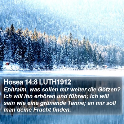Hosea 14:8 LUTH1912 Bible Verse Image