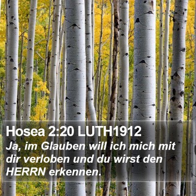 Hosea 2:20 LUTH1912 Bible Verse Image