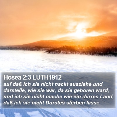 Hosea 2:3 LUTH1912 Bible Verse Image