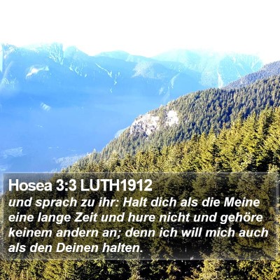 Hosea 3:3 LUTH1912 Bible Verse Image