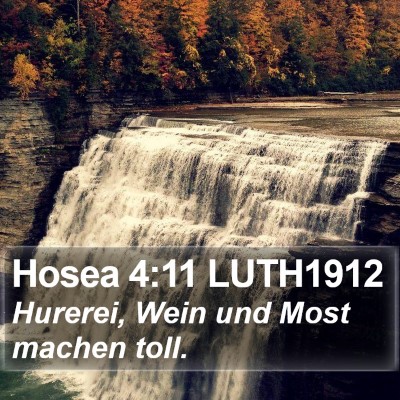 Hosea 4:11 LUTH1912 Bible Verse Image