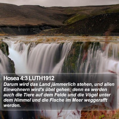 Hosea 4:3 LUTH1912 Bible Verse Image