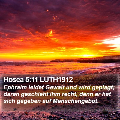 Hosea 5:11 LUTH1912 Bible Verse Image
