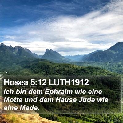 Hosea 5:12 LUTH1912 Bible Verse Image