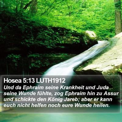 Hosea 5:13 LUTH1912 Bible Verse Image