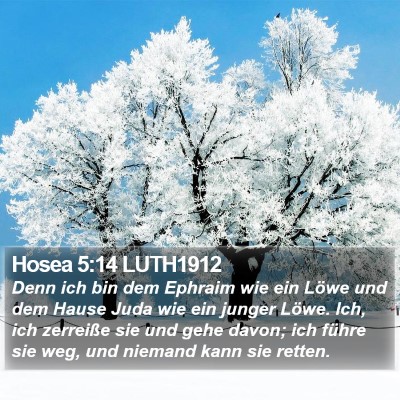 Hosea 5:14 LUTH1912 Bible Verse Image