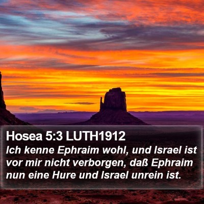 Hosea 5:3 LUTH1912 Bible Verse Image