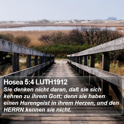 Hosea 5:4 LUTH1912 Bible Verse Image