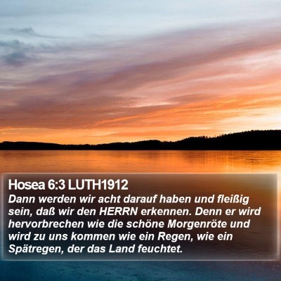 Hosea 6:3 LUTH1912 Bible Verse Image