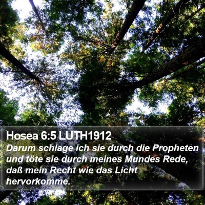 Hosea 6:5 LUTH1912 Bible Verse Image