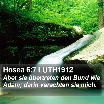 Hosea 6:7 LUTH1912 Bible Verse Image