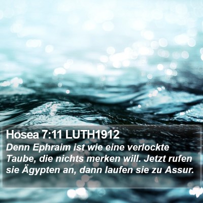 Hosea 7:11 LUTH1912 Bible Verse Image