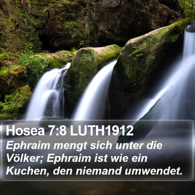 Hosea 7:8 LUTH1912 Bible Verse Image