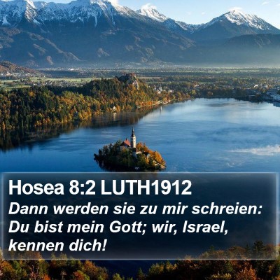 Hosea 8:2 LUTH1912 Bible Verse Image