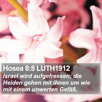 Hosea 8:8 LUTH1912 Bible Verse Image