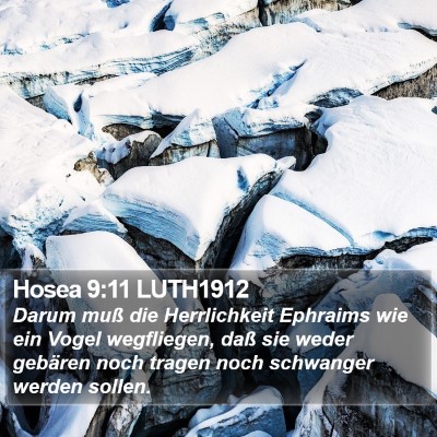 Hosea 9:11 LUTH1912 Bible Verse Image