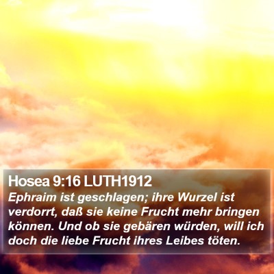 Hosea 9:16 LUTH1912 Bible Verse Image