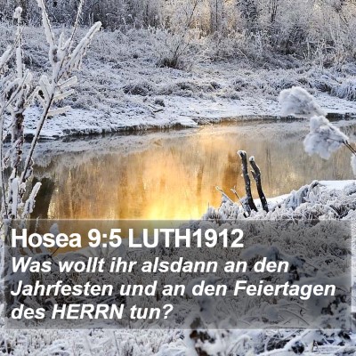 Hosea 9:5 LUTH1912 Bible Verse Image