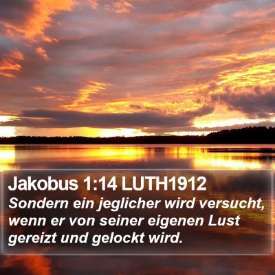 Jakobus 1:14 LUTH1912 Bible Verse Image