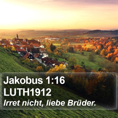 Jakobus 1:16 LUTH1912 Bible Verse Image
