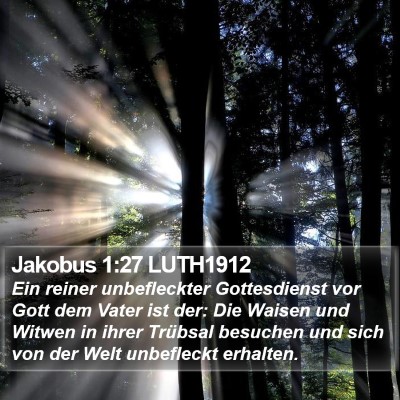 Jakobus 1:27 LUTH1912 Bible Verse Image