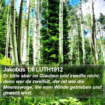 Jakobus 1:6 LUTH1912 Bible Verse Image
