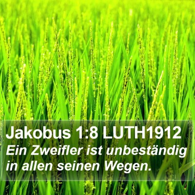 Jakobus 1:8 LUTH1912 Bible Verse Image