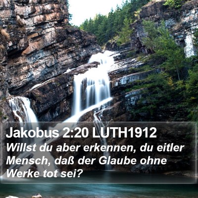 Jakobus 2:20 LUTH1912 Bible Verse Image
