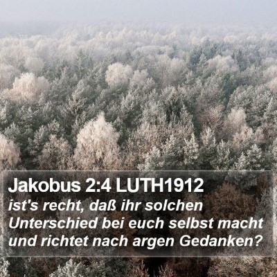 Jakobus 2:4 LUTH1912 Bible Verse Image