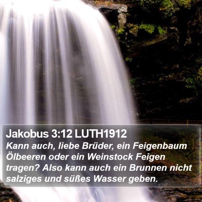 Jakobus 3:12 LUTH1912 Bible Verse Image