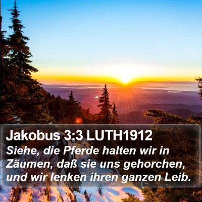 Jakobus 3:3 LUTH1912 Bible Verse Image