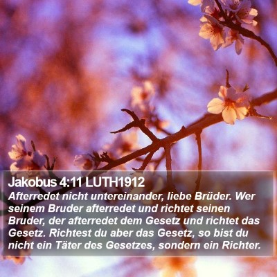 Jakobus 4:11 LUTH1912 Bible Verse Image