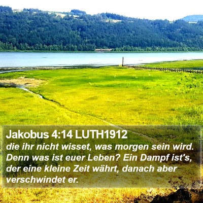 Jakobus 4:14 LUTH1912 Bible Verse Image