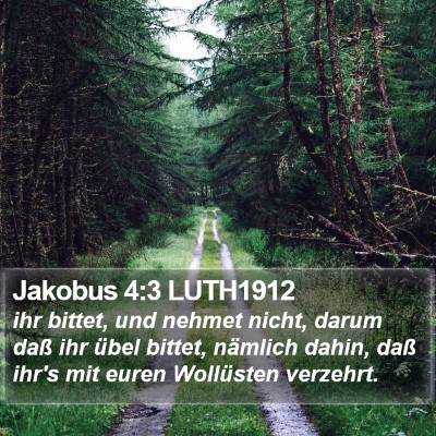Jakobus 4:3 LUTH1912 Bible Verse Image